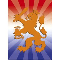 kathedraal Computerspelletjes spelen Nylon Oranje leeuw met zwaard - Fotogeschenken.nl